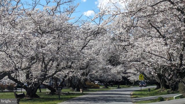 3713 KING WILLIAM DR, Olney, MD 20832