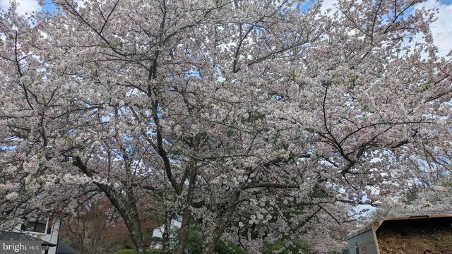 3713 KING WILLIAM DR, Olney, MD 20832