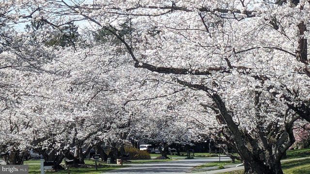 3713 KING WILLIAM DR, Olney, MD 20832