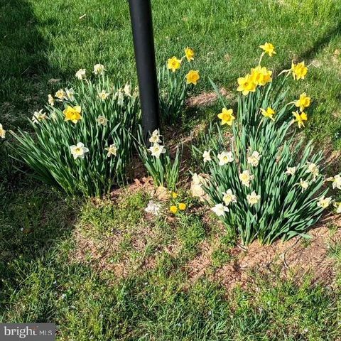 3713 KING WILLIAM DR, Olney, MD 20832