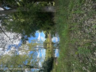 0 Ferris Road, Eaton Rapids, MI 48827
