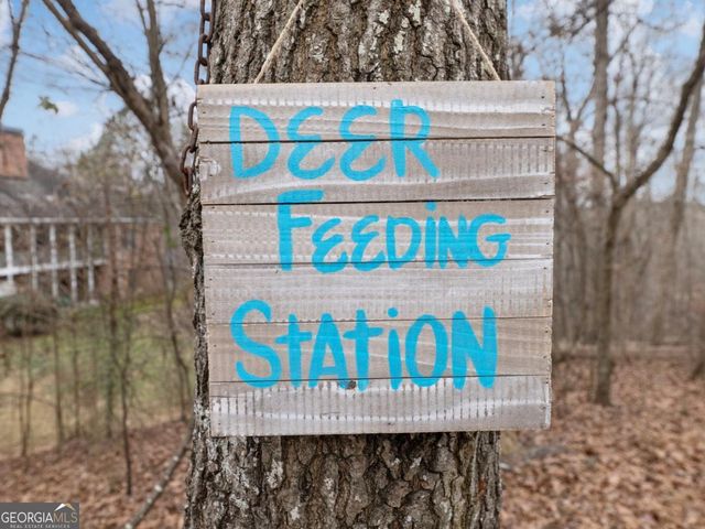 8755 Covestone Drive, Gainesville, GA 30506