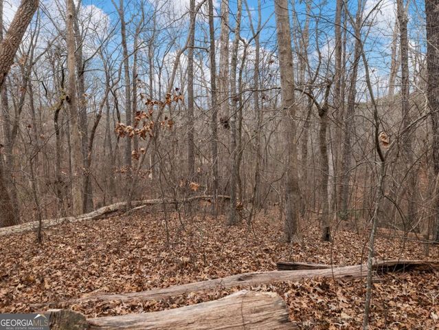 8755 Covestone Drive, Gainesville, GA 30506