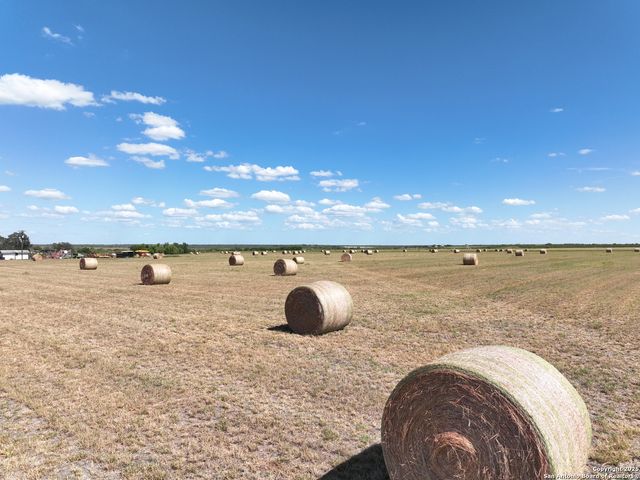 14420 FM 99, Karnes City, TX 78118