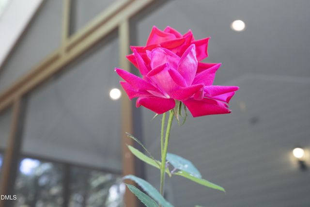 9312 Leslieshire Drive, Raleigh, NC 27615