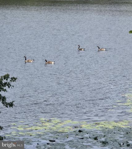 25345 MALLARD DR, Seaford, DE 19973