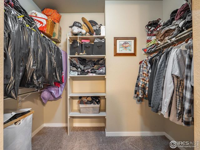 3893 Sweetgum St, Wellington, CO 80549