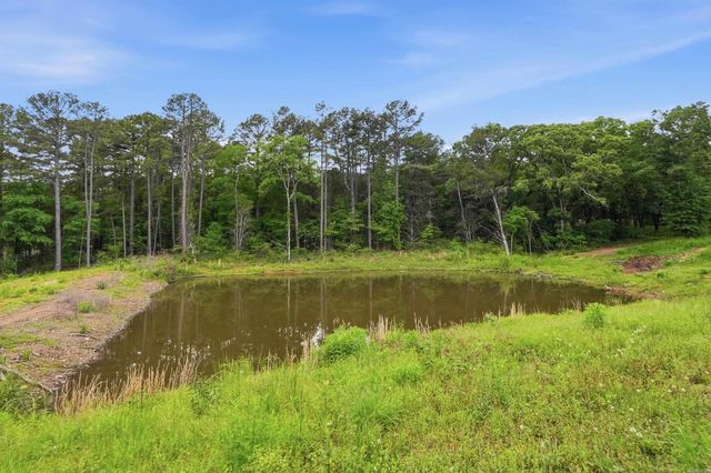 1030 Cadron Settlement Lane, Conway, AR 72034