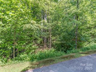 Lot 231 Chesterfield Drive 231, Mill Spring, NC 28756