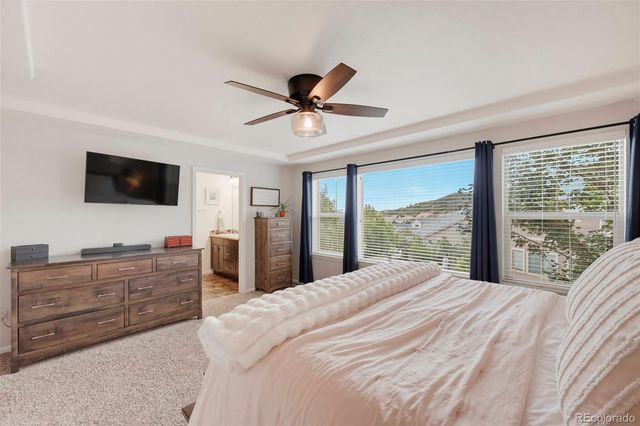 1516 Raindrop Way, Castle Rock, CO 80109