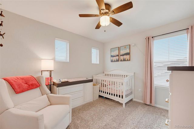 1516 Raindrop Way, Castle Rock, CO 80109