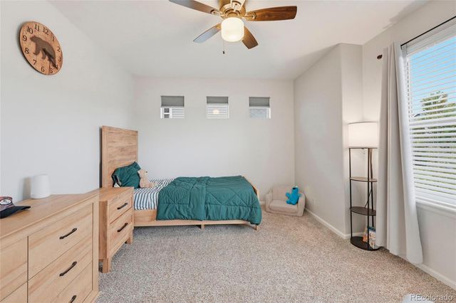 1516 Raindrop Way, Castle Rock, CO 80109