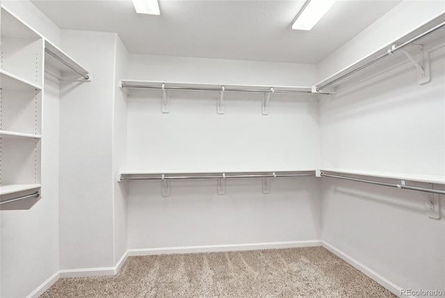 1516 Raindrop Way, Castle Rock, CO 80109