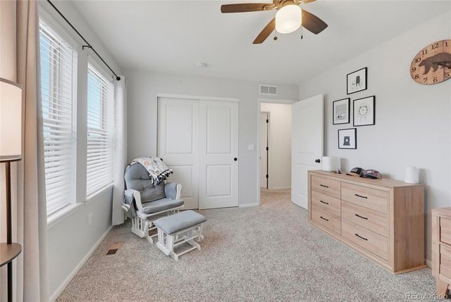 1516 Raindrop Way, Castle Rock, CO 80109