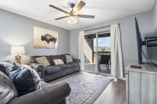 13 Woodpecker Lane 1, Branson, MO 65616