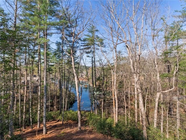 107 Fire Pink Court, Sunset, SC 29685