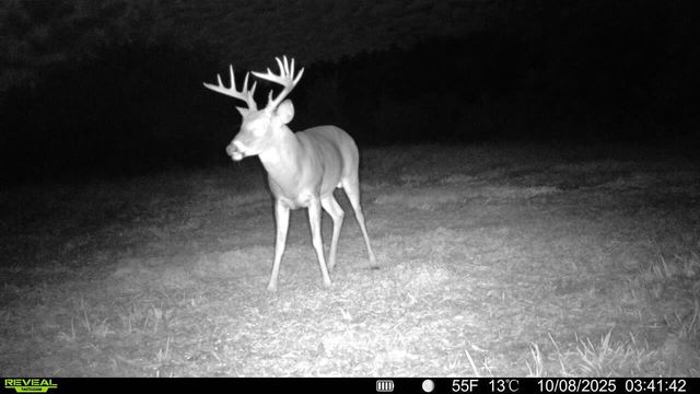 19732 State Highway E, Eagle Rock, MO 65641