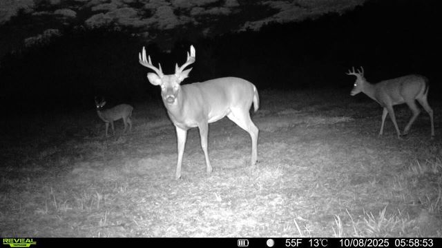 19732 State Highway E, Eagle Rock, MO 65641