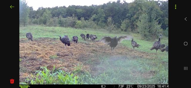 19732 State Highway E, Eagle Rock, MO 65641