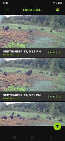 19732 State Highway E, Eagle Rock, MO 65641