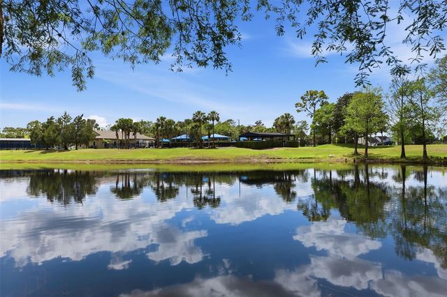 255 TOM SAWYER COURT, Orlando, FL 32828