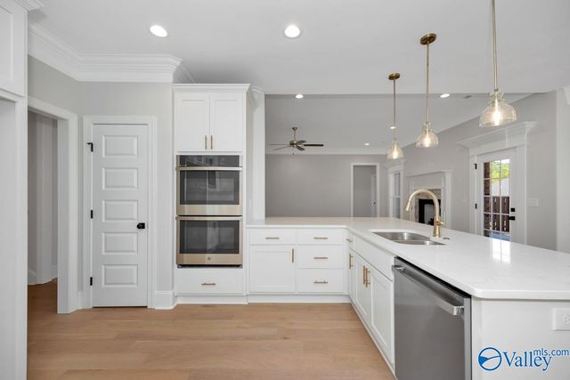 8060 Goose Ridge Drive, Owens Cross Roads, AL 35763