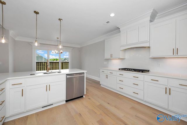 8060 Goose Ridge Drive, Owens Cross Roads, AL 35763