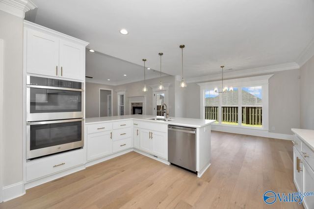 8060 Goose Ridge Drive, Owens Cross Roads, AL 35763