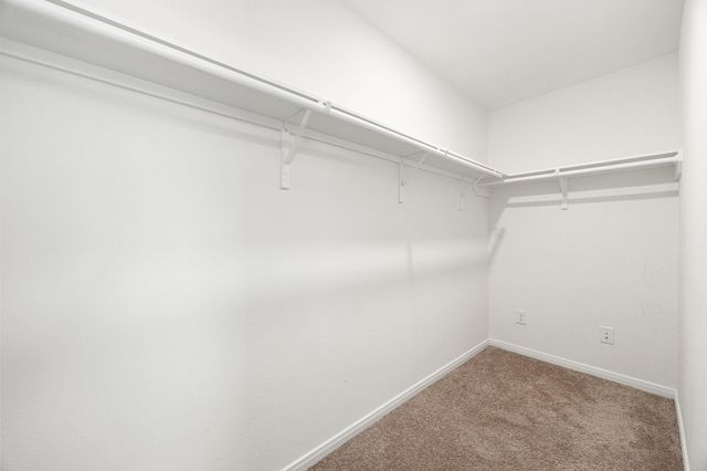 9558 Louis Phillip Street, Magnolia, TX 77354