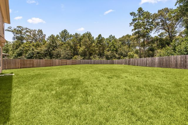 9558 Louis Phillip Street, Magnolia, TX 77354