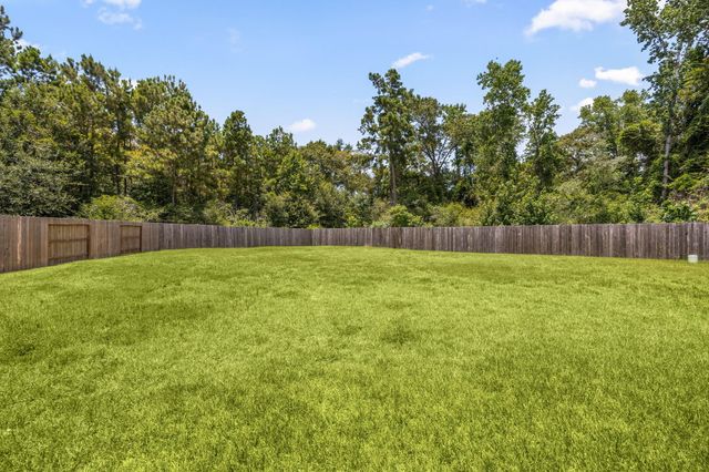 9558 Louis Phillip Street, Magnolia, TX 77354