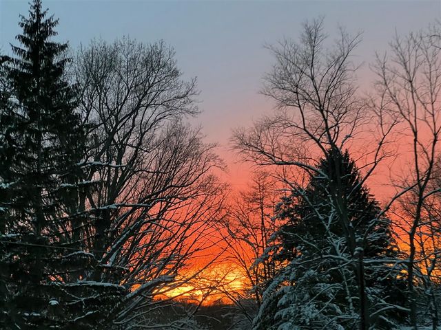 11087 Lake Shore Drive, Berrien Springs, MI 49103