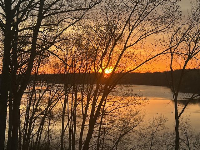 11087 Lake Shore Drive, Berrien Springs, MI 49103