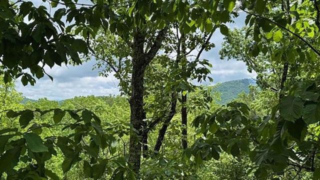 108 Crabapple Lane, Mineral Bluff, GA 30559