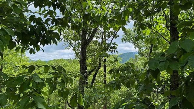 108 Crabapple Lane, Mineral Bluff, GA 30559