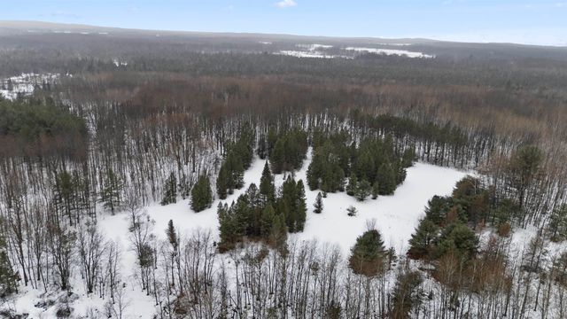 6565 N 31 Road, Greenwood Twp, MI 49663