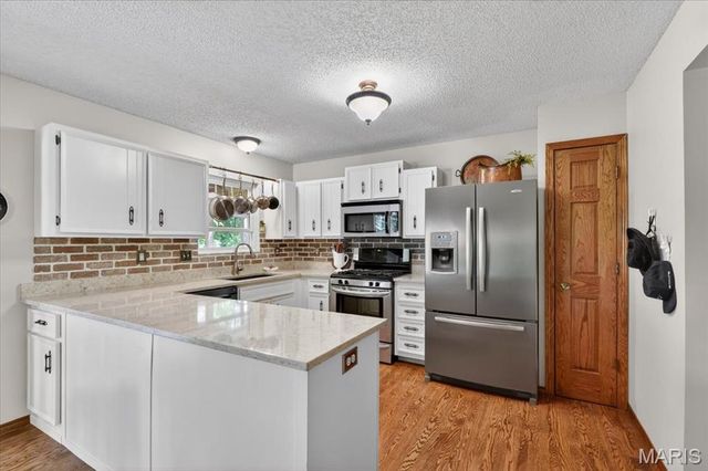 1014 Holly River Drive, Florissant, MO 63031