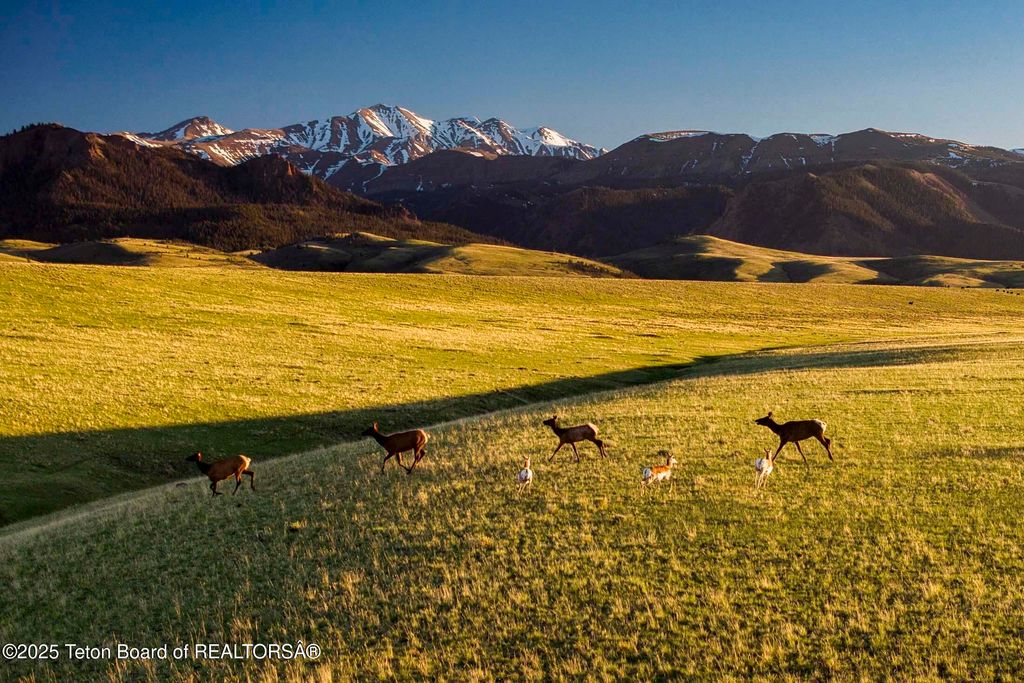 20A RD 5RU, Meeteetse, WY 82433 photo 16