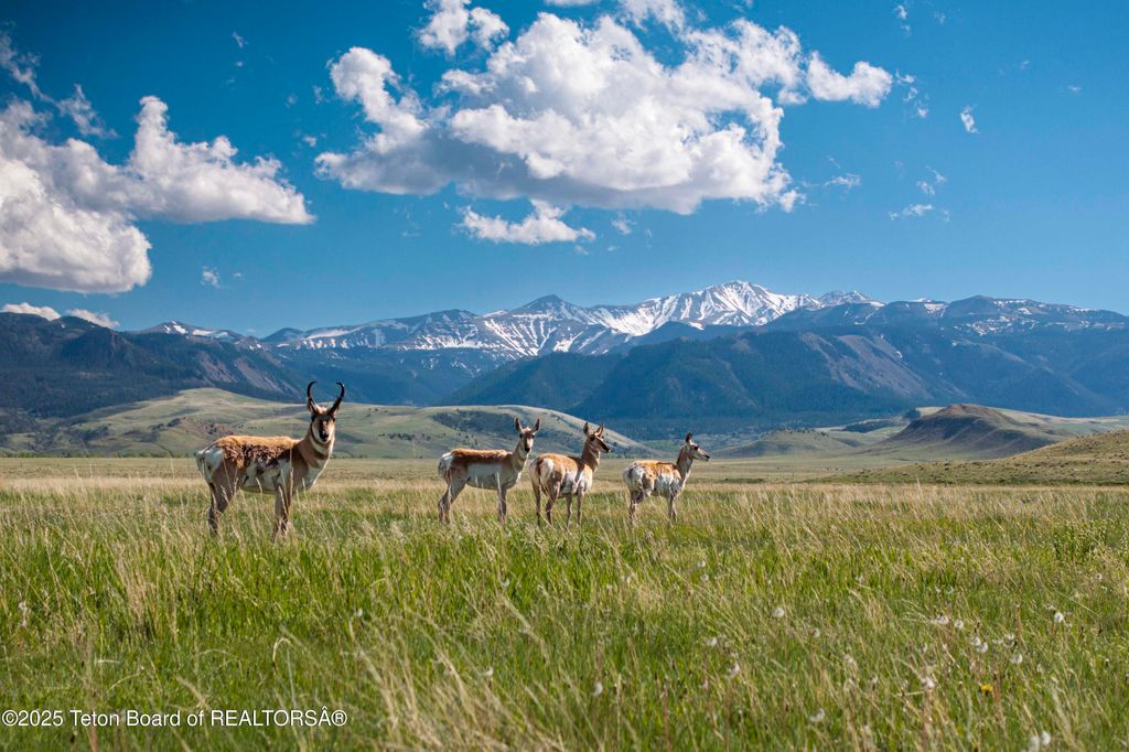 20A RD 5RU, Meeteetse, WY 82433 photo 2