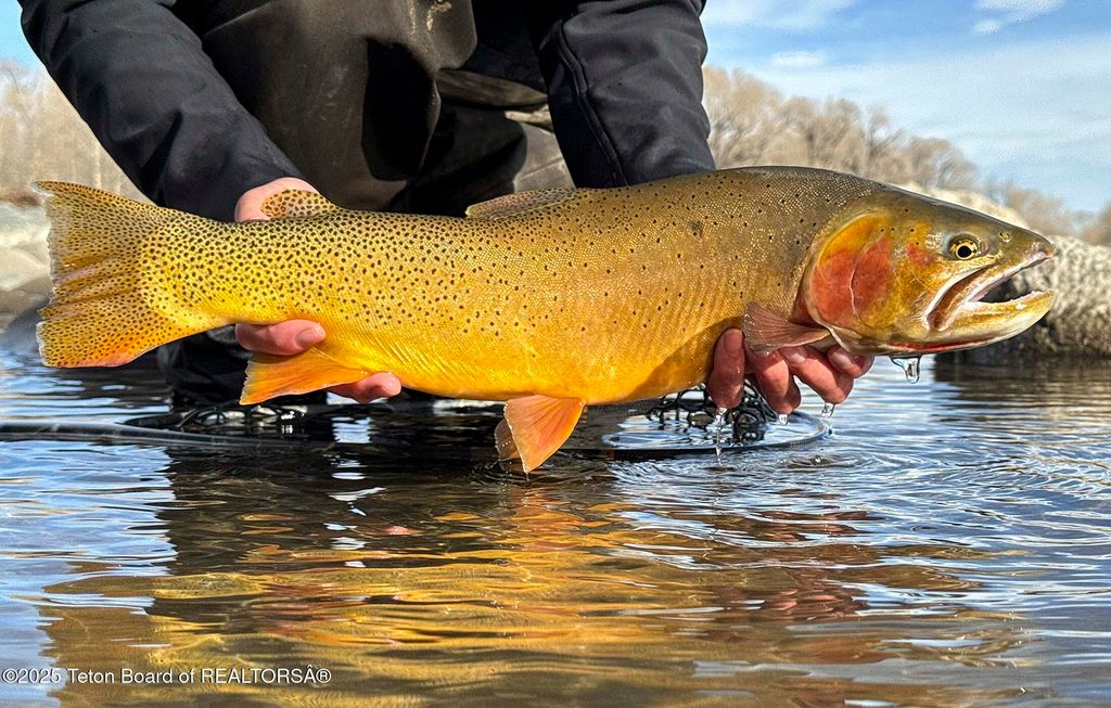 20A RD 5RU, Meeteetse, WY 82433 photo 28