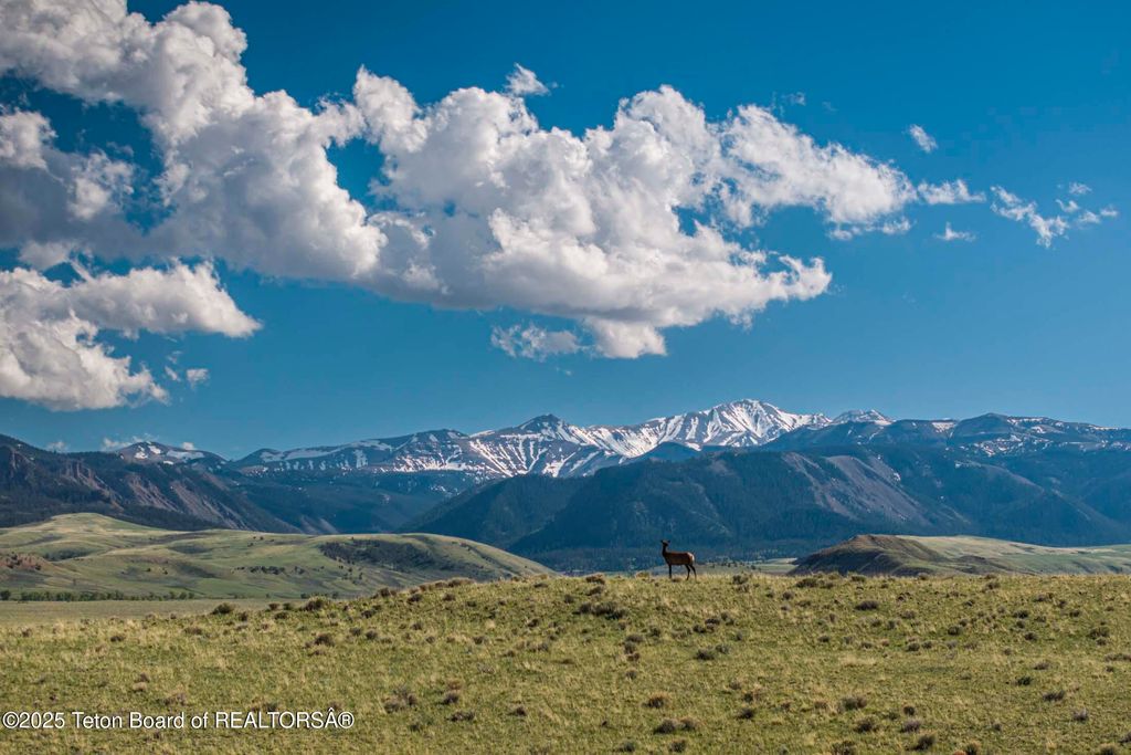 20A RD 5RU, Meeteetse, WY 82433 photo 29