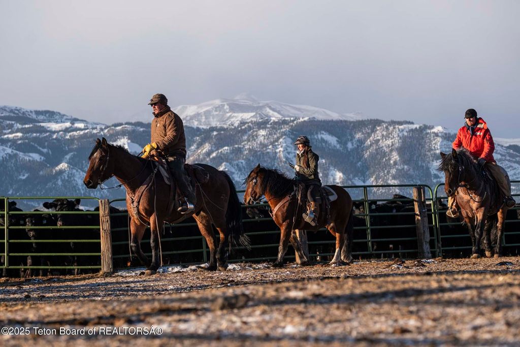 20A RD 5RU, Meeteetse, WY 82433 photo 37