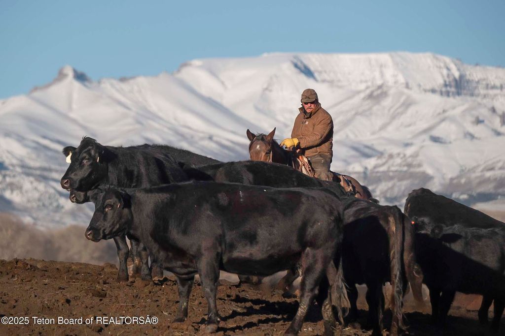 20A RD 5RU, Meeteetse, WY 82433 photo 38