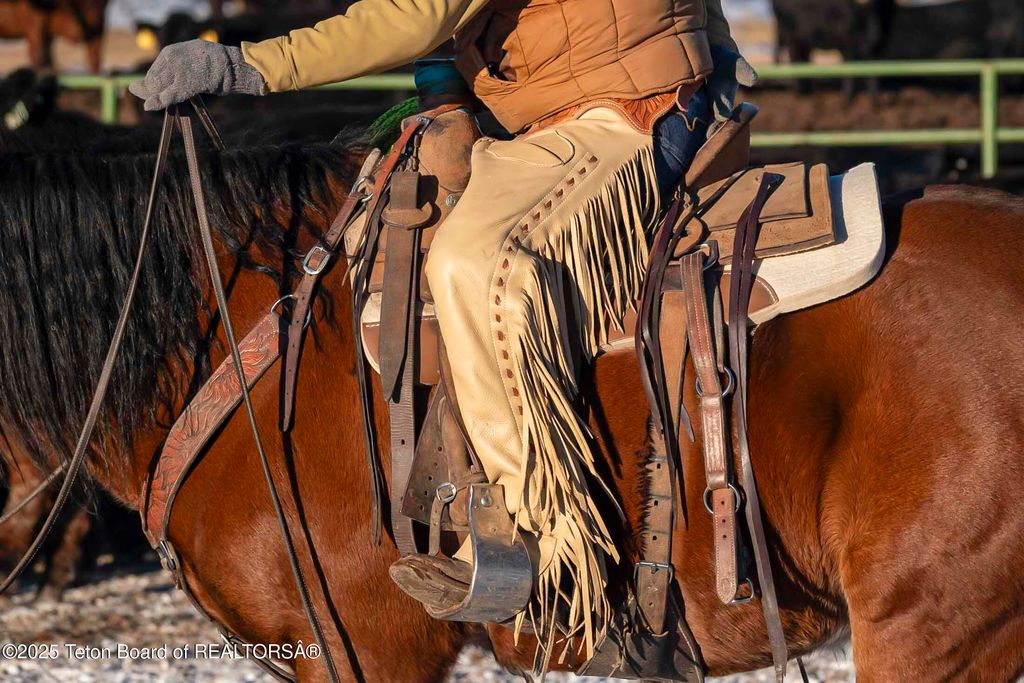 20A RD 5RU, Meeteetse, WY 82433 photo 39