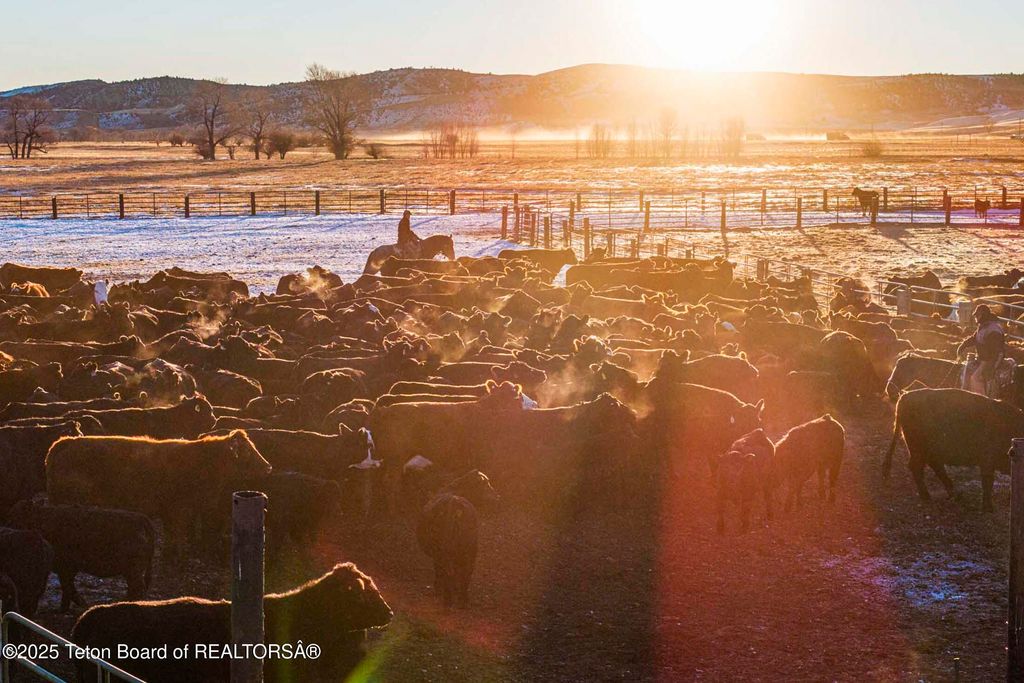 20A RD 5RU, Meeteetse, WY 82433 photo 44