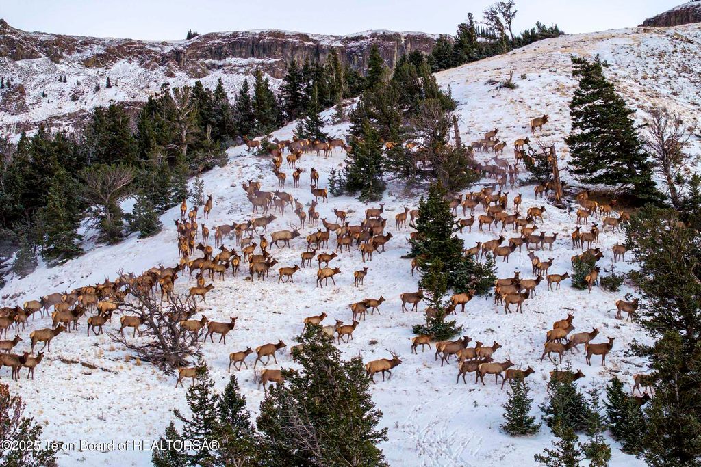 20A RD 5RU, Meeteetse, WY 82433 photo 47