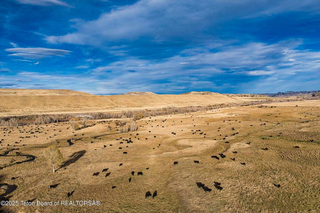 20A RD 5RU, Meeteetse, WY 82433 photo 49