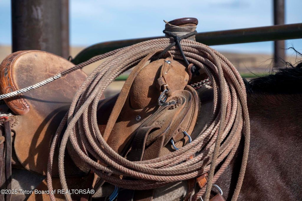 20A RD 5RU, Meeteetse, WY 82433 photo 51