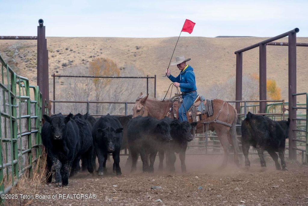 20A RD 5RU, Meeteetse, WY 82433 photo 52