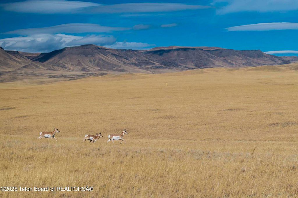 20A RD 5RU, Meeteetse, WY 82433 photo 55